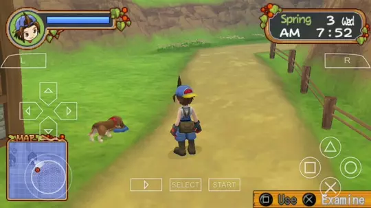 cheat harvest moon hero of leaf valley ppsspp